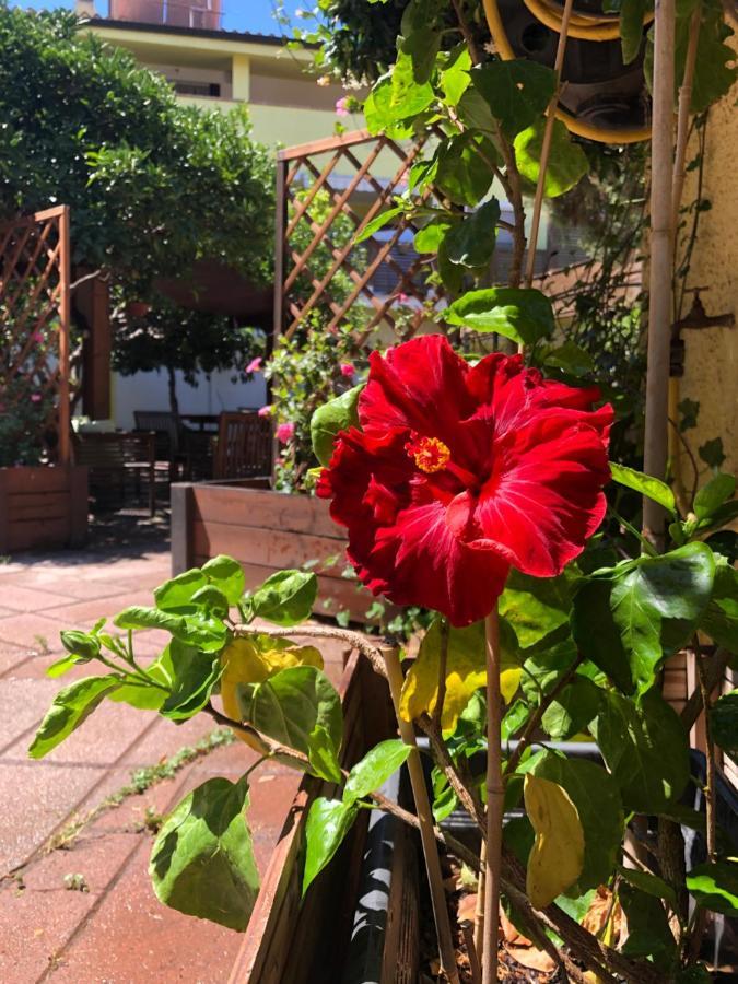Maeva Guesthouse Muravera Kültér fotó