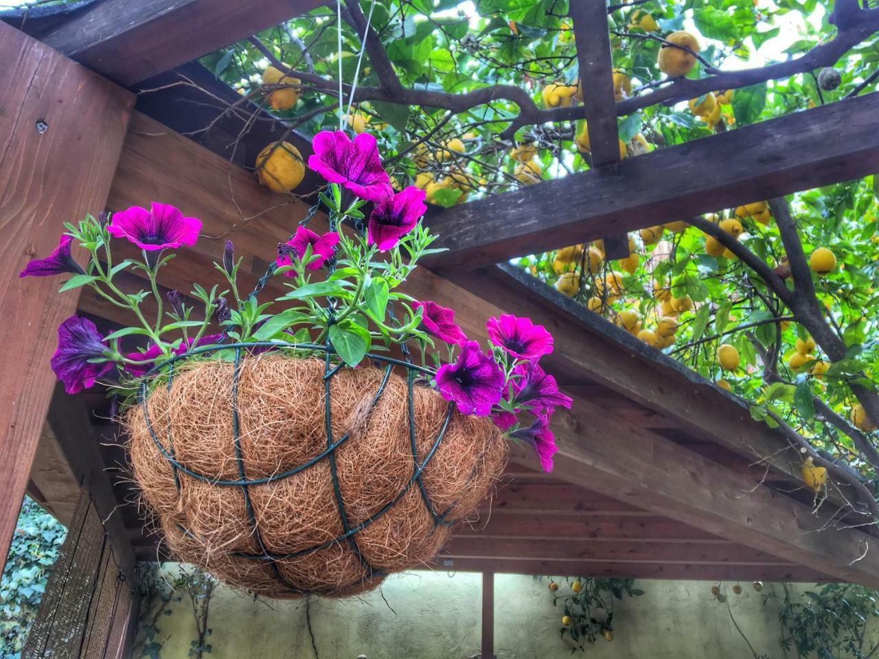 Maeva Guesthouse Muravera Kültér fotó