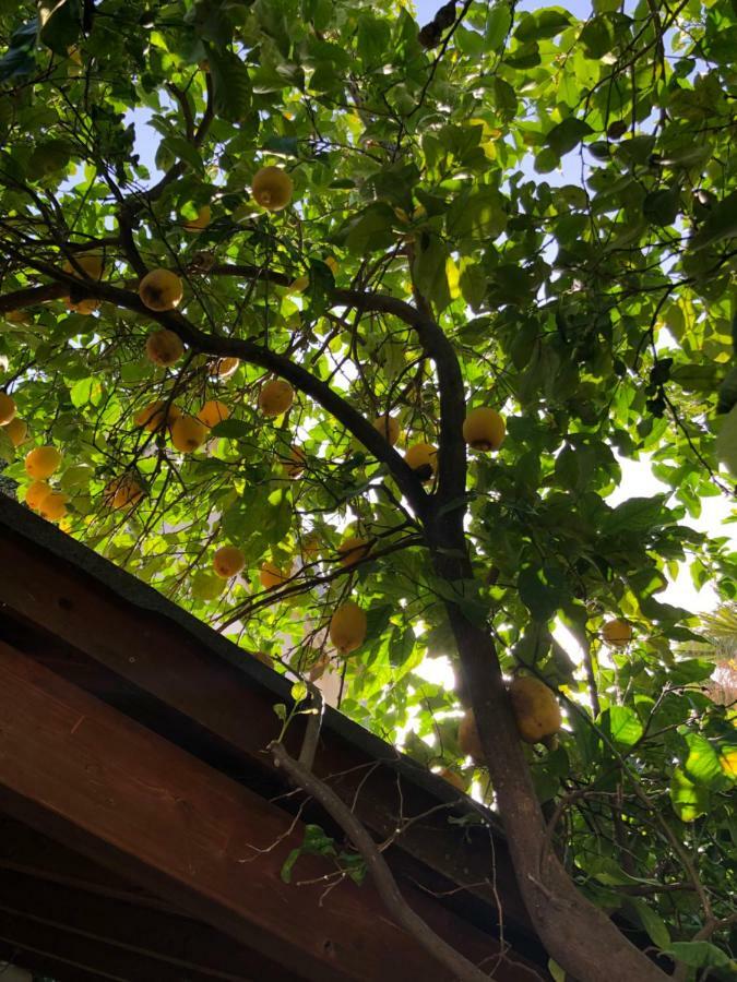 Maeva Guesthouse Muravera Kültér fotó